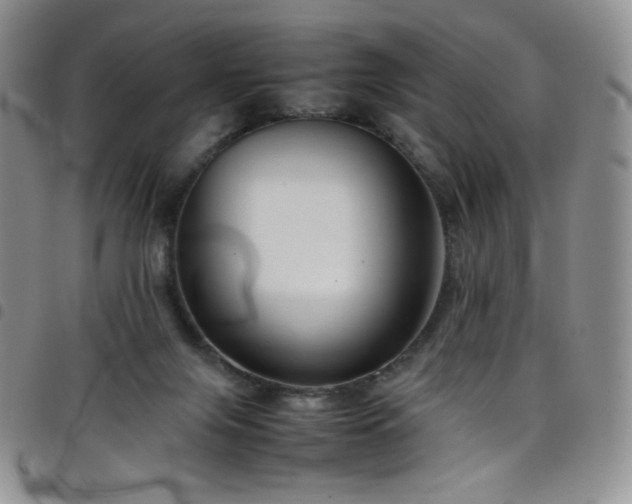 X0000099230071200804241501