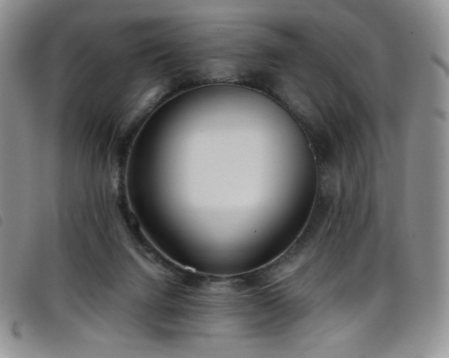 X0000099230072200804241501