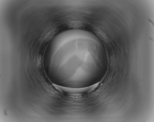 X0000099230073200804241501