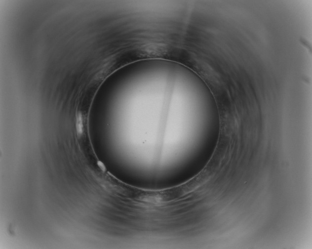 X0000099230075200804241501