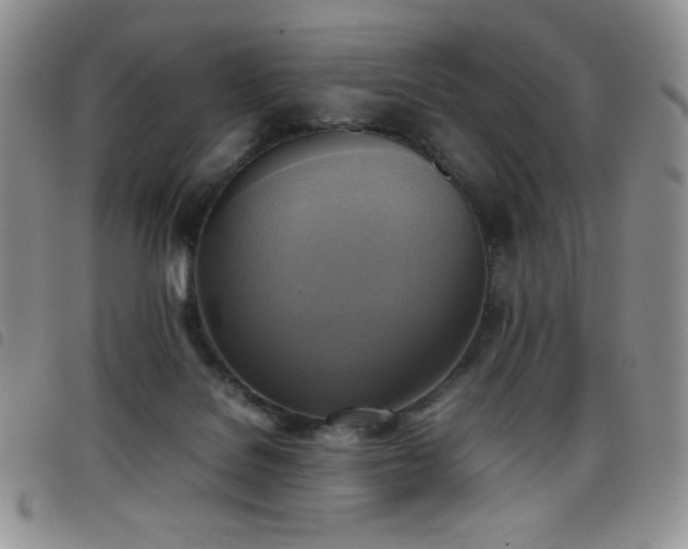 X0000099230076200804241501