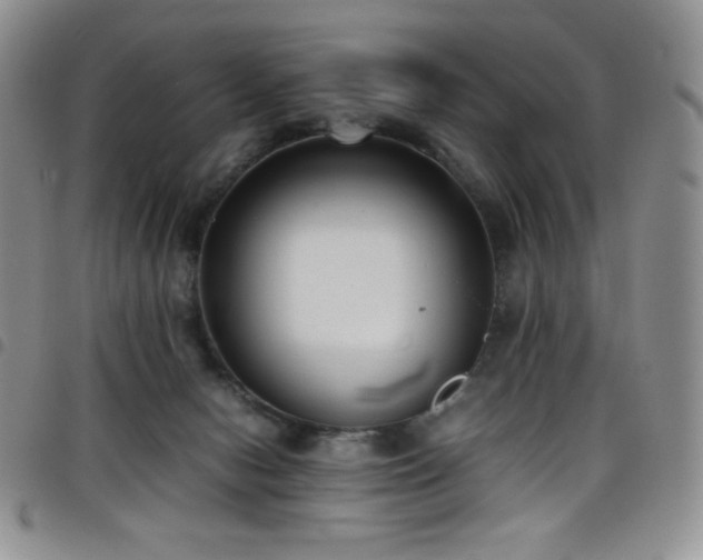 X0000099230078200804241501