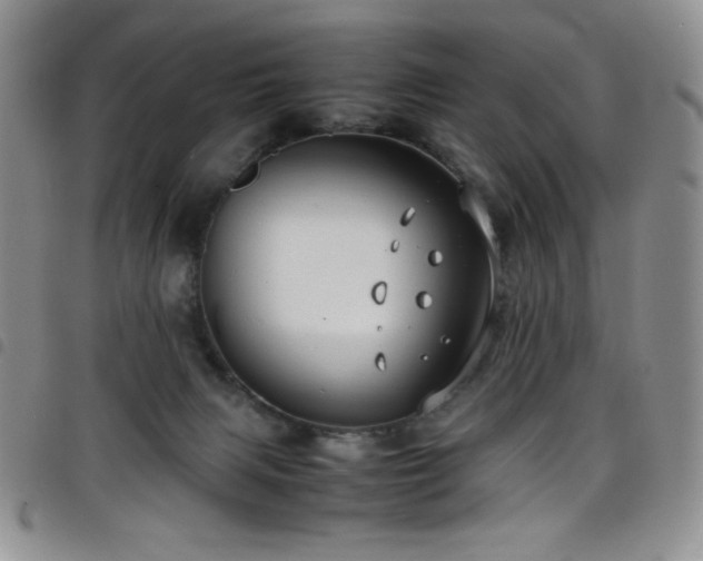 X0000099230079200804241501