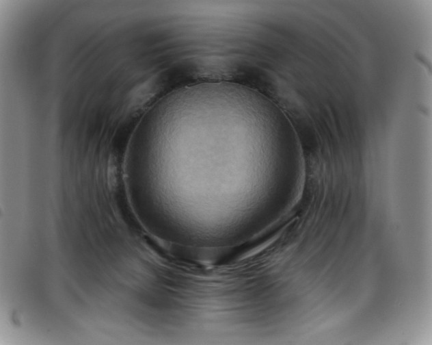 X0000099230080200804241501