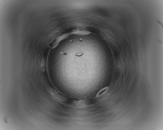 X0000099230082200804241501