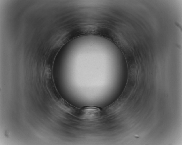 X0000099230083200804241501