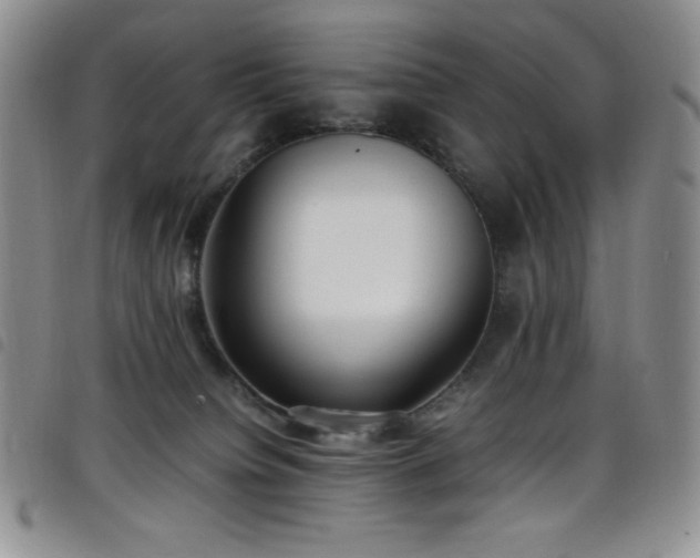 X0000099230084200804241501