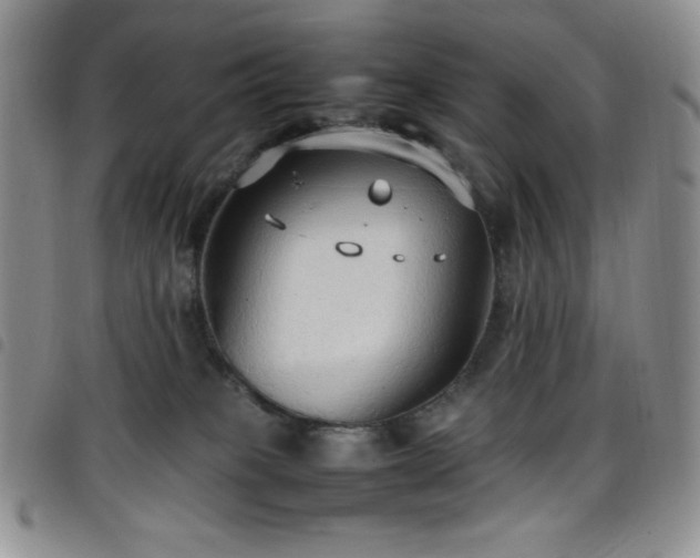 X0000099230085200804241501