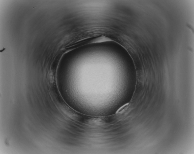 X0000099230086200804241501