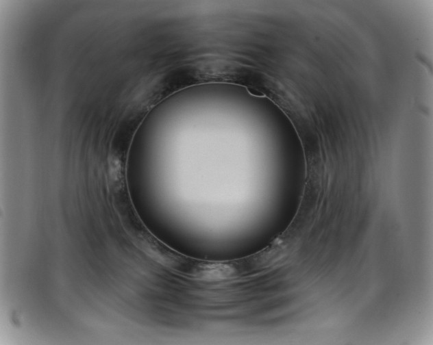 X0000099230087200804241501