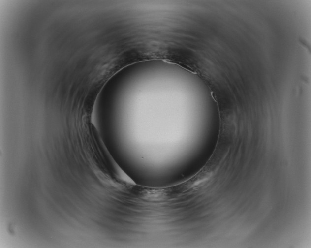 X0000099230088200804241501