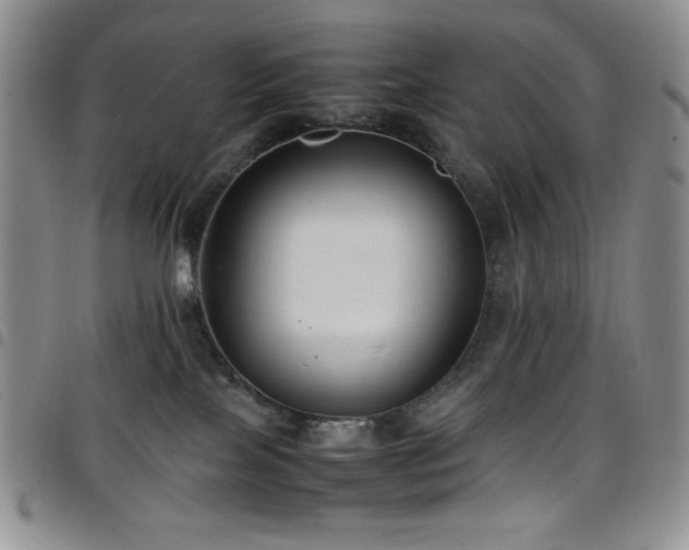 X0000099230089200804241501