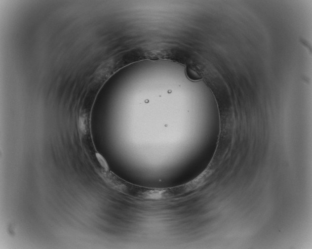 X0000099230090200804241501