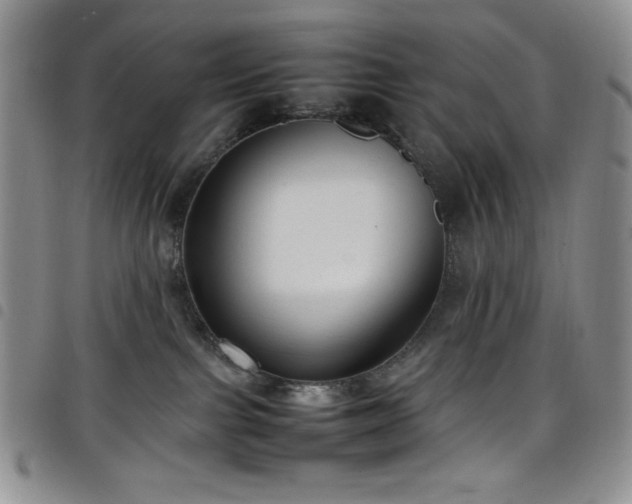 X0000099230091200804241501