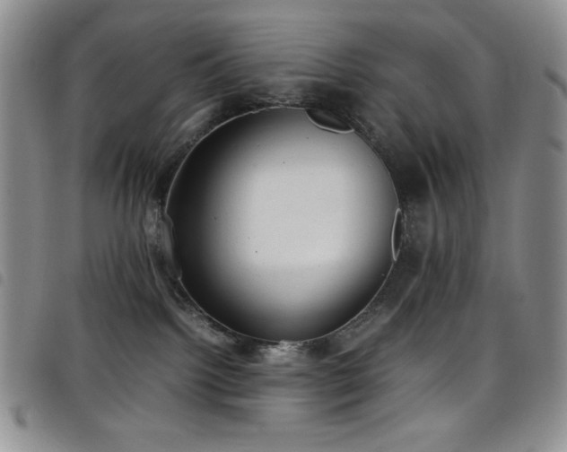 X0000099230092200804241501