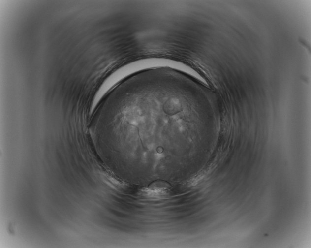 X0000099230093200804241501