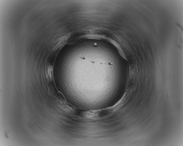 X0000099230094200804241501