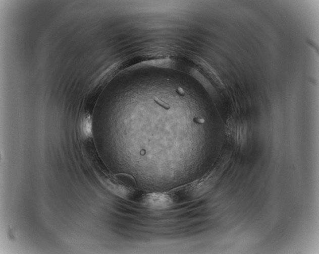 X0000099230095200804241501