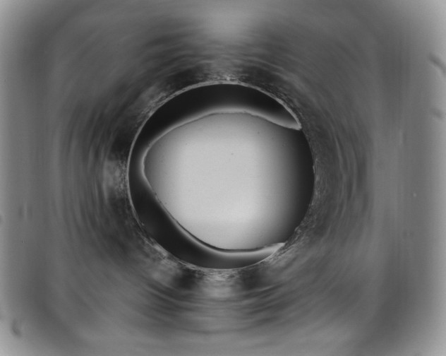 X0000099230096200804241501