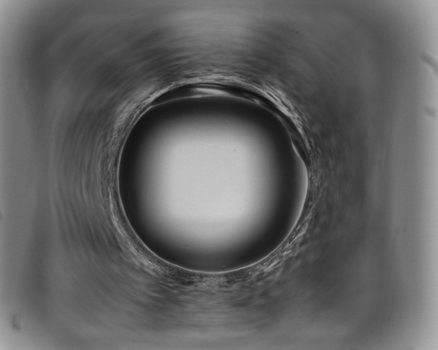 X0000099230097200804241501