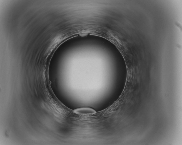 X0000099230098200804241501