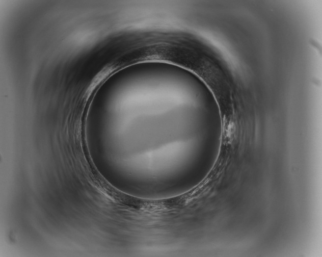 X0000099230099200804241501