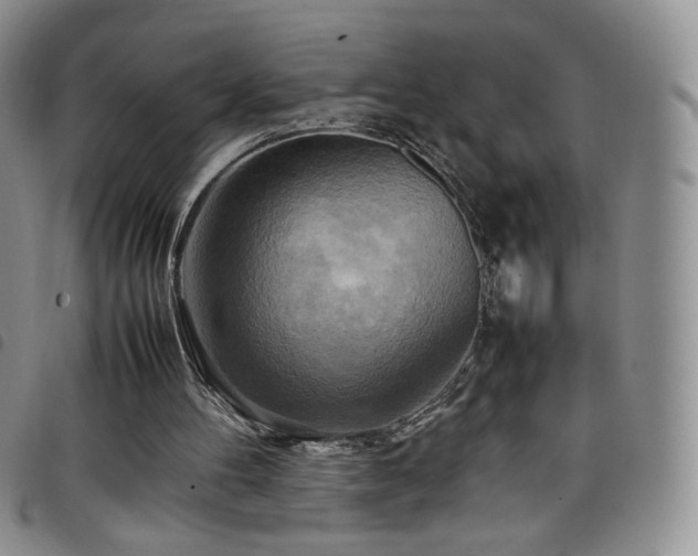 X0000099230100200804241501