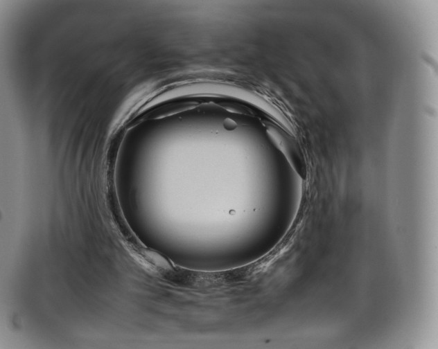 X0000099230101200804241501