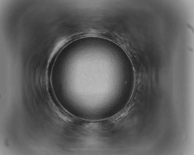 X0000099230102200804241501