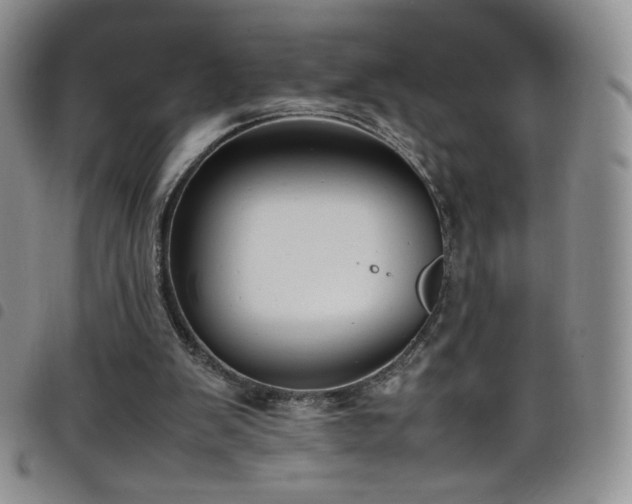 X0000099230103200804241501