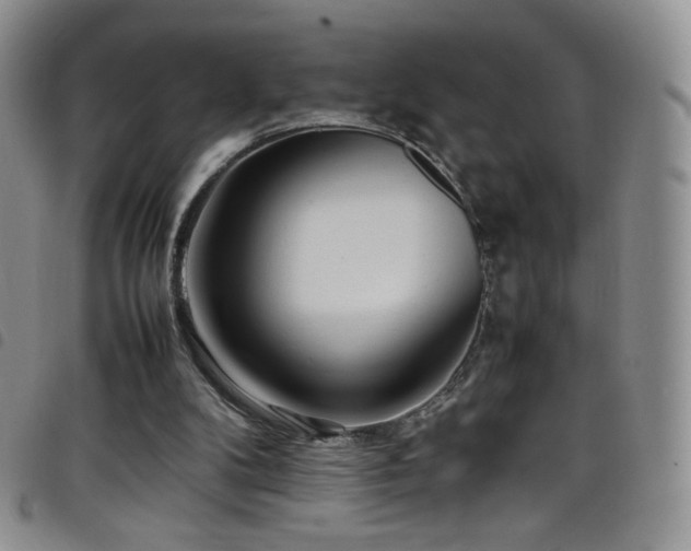 X0000099230104200804241501