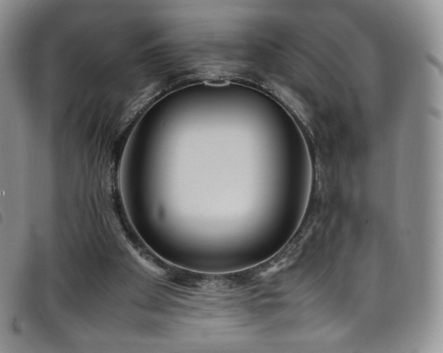 X0000099230105200804241501