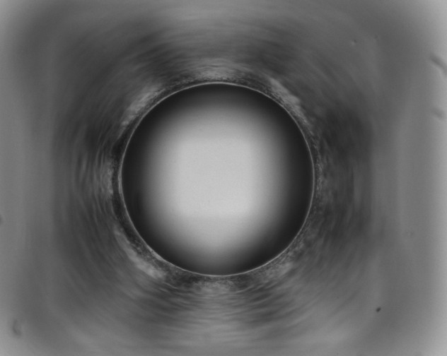 X0000099230106200804241501