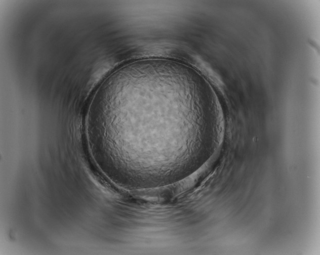 X0000099230107200804241501