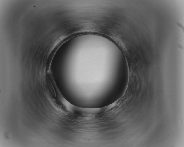 X0000099230108200804241501