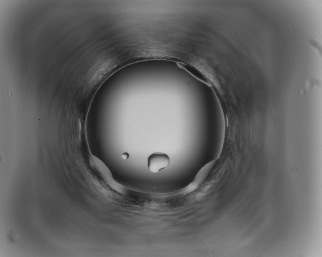 X0000099230109200804241501