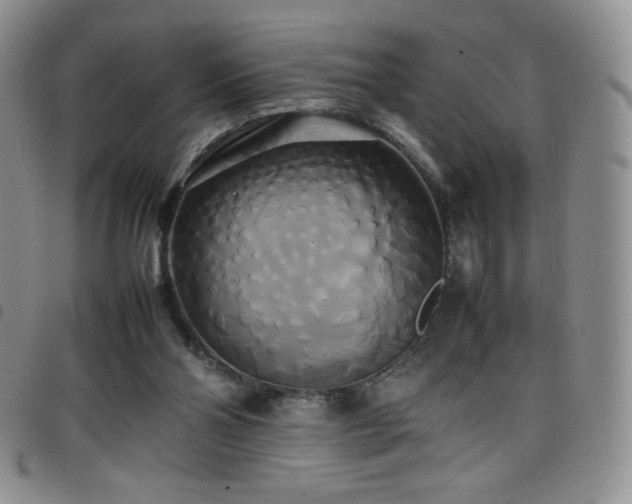 X0000099230110200804241501