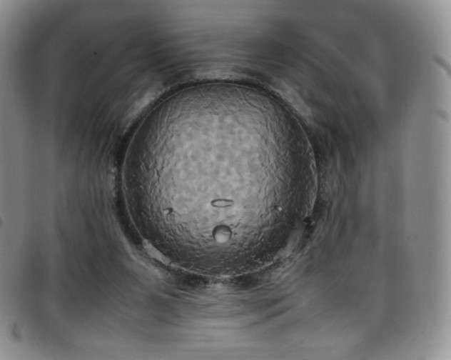 X0000099230111200804241500