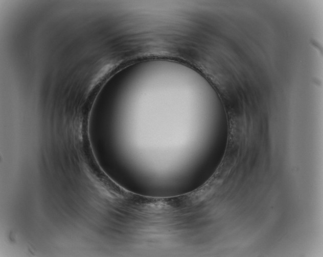 X0000099230112200804241500