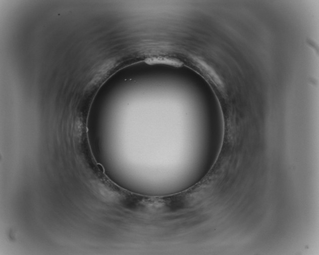 X0000099230113200804241500