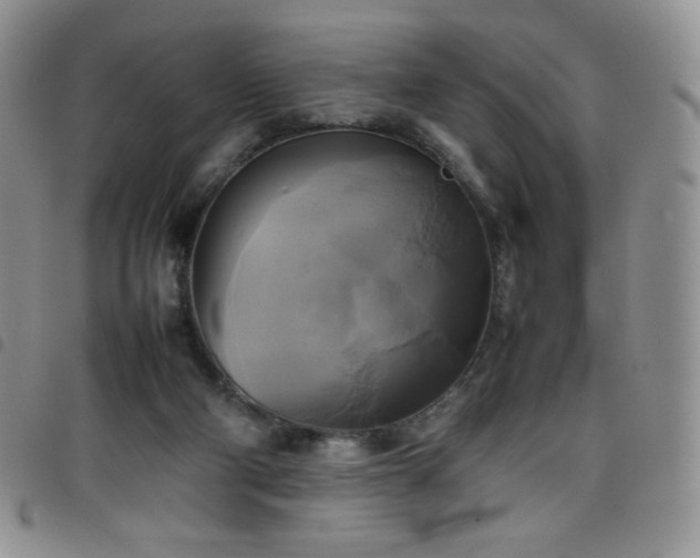 X0000099230114200804241500