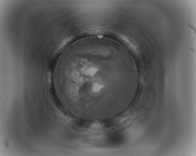 X0000099230115200804241500