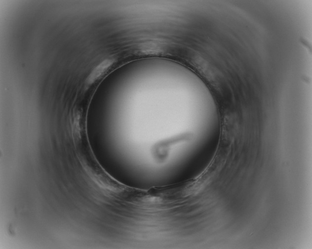 X0000099230116200804241500