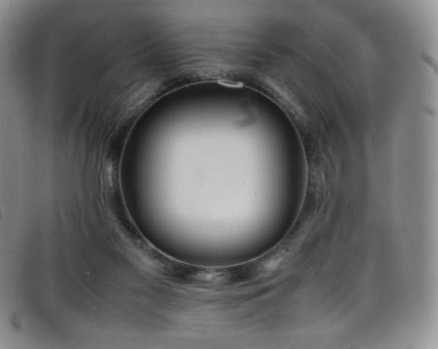 X0000099230117200804241500