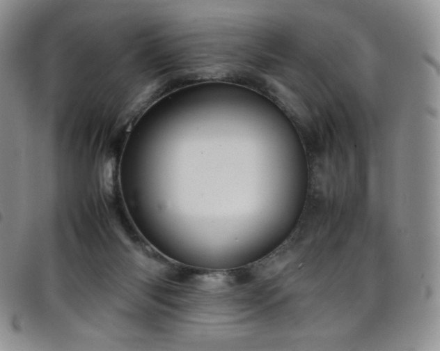 X0000099230118200804241500