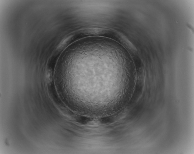 X0000099230119200804241500