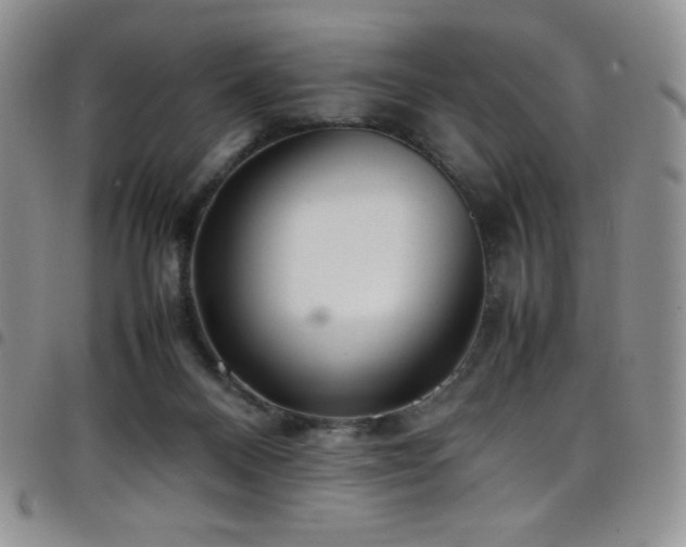 X0000099230120200804241500