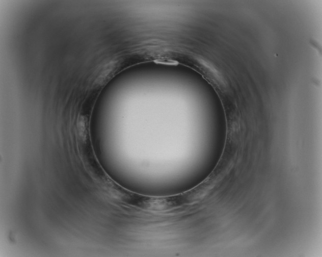 X0000099230121200804241500