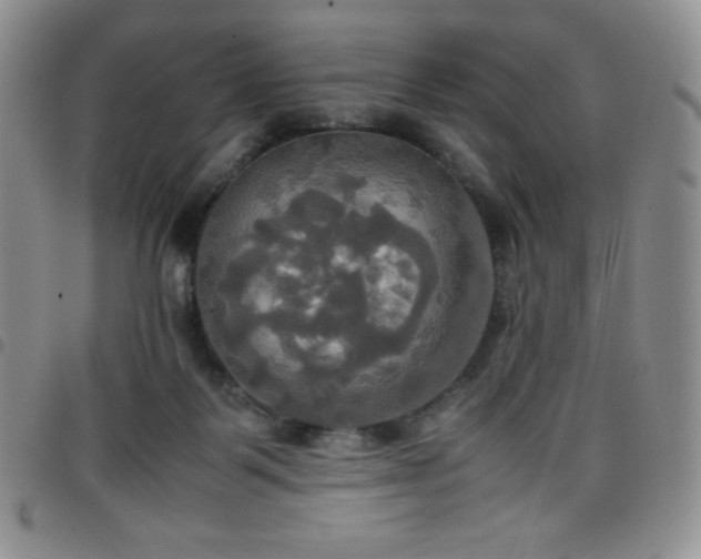 X0000099230123200804241500