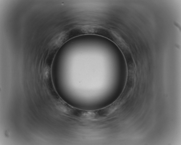 X0000099230125200804241500